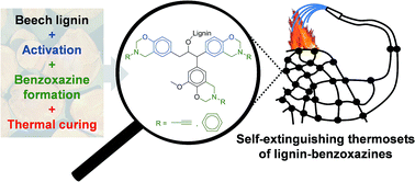 Graphical abstract: Benzoxazines with enhanced thermal stability from phenolated organosolv lignin