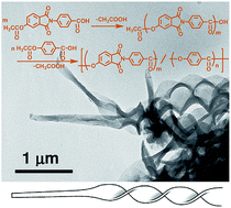 Graphical abstract: Preparation of poly(ester-imide) ribbons comprised of helical and non-helical blocks by copolymerization