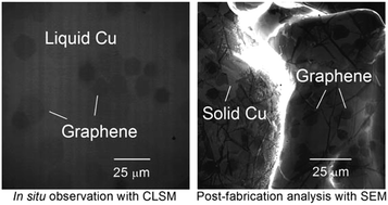 Graphical abstract: Real time and in situ observation of graphene growth on liquid metal surfaces via a carbon segregation method using high-temperature confocal laser scanning microscopy