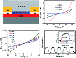 Graphical abstract: Schottky–ohmic converted contact, fast-response, infrared PbTe photodetector with stable photoresponse in air