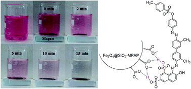 Graphical abstract: Facile synthesis of methyl propylaminopropanoate functionalized magnetic nanoparticles for removal of acid red 114 from aqueous solution