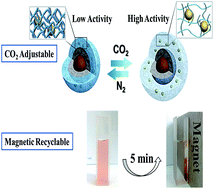 Graphical abstract: Breathing catalyst-supports: CO2 adjustable and magnetic recyclable “smart” hybrid nanoparticles