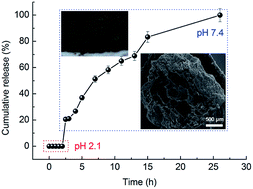 Graphical abstract: Preparation of pH- and magnetism-responsive sodium alginate/Fe3O4@HNTs nanocomposite beads for controlled release of granulysin