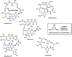 Graphical abstract: Semi-synthetic zwitterionic rifamycins: a promising class of antibiotics; survey of their chemistry and biological activities