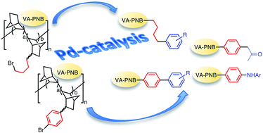 Graphical abstract: p-Bromoaryl- and ω-bromoalkyl-VA-PNBs: suitable starting materials for the functionalization of vinylic addition polynorbornenes via palladium-catalyzed cross-coupling reactions
