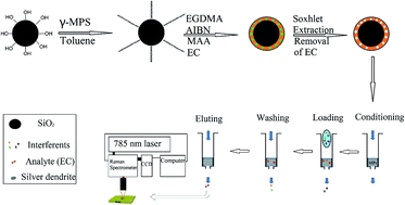 Graphical abstract: Highly sensitive determination of ethyl carbamate in alcoholic beverages by surface-enhanced Raman spectroscopy combined with a molecular imprinting polymer