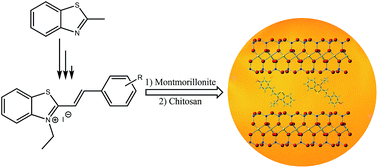 Graphical abstract: Fluorescent bio-nanocomposites based on chitosan reinforced hemicyanine dye-modified montmorillonite