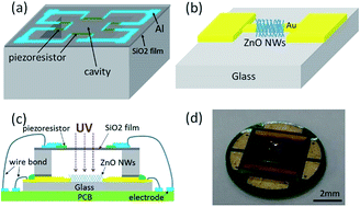 Graphical abstract: Heterogeneous sensors of pressure sensor and ultraviolet photodetector fabricated by vertical 3D stacking as a multi-functional device