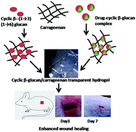 Graphical abstract: Cyclic β-(1→3) (1→6) glucan/carrageenan hydrogels for wound healing applications