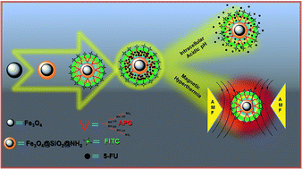 Graphical abstract: Synthesis of amine-polyglycidol functionalised Fe3O4@SiO2 nanocomposites for magnetic hyperthermia, pH-responsive drug delivery, and bioimaging applications