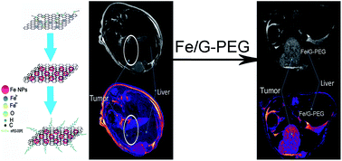 Graphical abstract: Ultra-sensitive diagnosis of orthotopic patient derived hepatocellular carcinoma by Fe@graphene nanoparticles in MRI