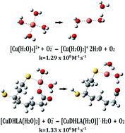 Graphical abstract: Theoretical study of copper complexes with lipoic and dihydrolipoic acids