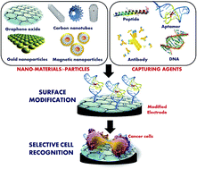 Graphical abstract: Towards the electrochemical diagnosis of cancer: nanomaterial-based immunosensors and cytosensors