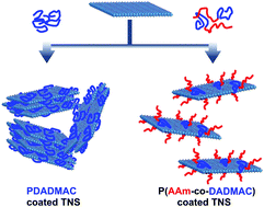 Graphical abstract: Improving the stability of titania nanosheets by functionalization with polyelectrolytes