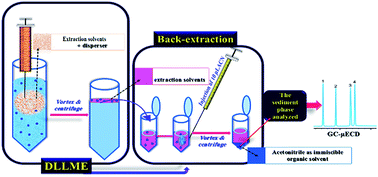 Graphical abstract: Dispersive liquid–liquid microextraction with back extraction using an immiscible organic solvent for determination of benzodiazepines in water, urine, and plasma samples