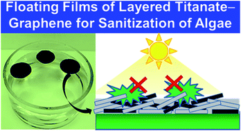 Graphical abstract: Water-floating nanohybrid films of layered titanate–graphene for sanitization of algae without secondary pollution