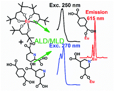 Graphical abstract: ALD/MLD fabrication of luminescent Eu-organic hybrid thin films using different aromatic carboxylic acid components with N and O donors