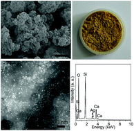 Graphical abstract: Facile synthesis of silver nanoparticles deposited on a calcium silicate hydrate composite as an efficient bactericidal agent