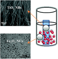 Graphical abstract: Visible-light photocatalytic performances of TiO2 nanobelts decorated with iron oxide nanocrystals