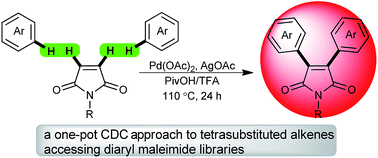 Graphical abstract: Palladium-catalyzed cross-dehydrogenative coupling of maleimides with simple arenes: a fast track to highly substituted maleimides