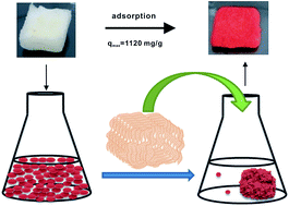 Graphical abstract: Hierarchically structured, well-dispersed Ti4+ cross-linked chitosan as an efficient and recyclable sponge-like adsorbent for anionic azo-dye removal