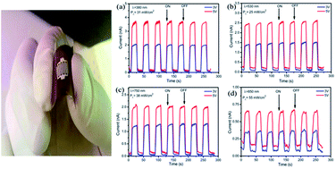 Graphical abstract: A highly sensitive flexible SnS thin film photodetector in the ultraviolet to near infrared prepared by chemical bath deposition