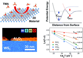 Graphical abstract: Atomic layer deposition of Al2O3 on MoS2, WS2, WSe2, and h-BN: surface coverage and adsorption energy