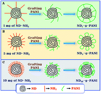Graphical abstract: Polyaniline nanoflowers grafted onto nanodiamonds via a soft template-guided secondary nucleation process for high-performance glucose sensing