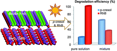 Graphical abstract: Enhanced p-cresol photodegradation over BiOBr/Bi2O3 in the presence of rhodamine B