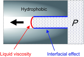 Graphical abstract: Rate effect of liquid infiltration into mesoporous materials