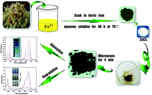 Graphical abstract: Facile synthesis of low-cost biomass-based γ-Fe2O3/C for efficient adsorption and catalytic degradation of methylene blue in aqueous solution