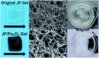 Graphical abstract: Nanostructured biogel templated synthesis of Fe3O4 nanoparticles and its application for catalytic degradation of xylenol orange