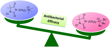 Graphical abstract: Synthesis of quaternary phosphonium N-chloramine biocides for antimicrobial applications