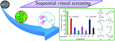 Graphical abstract: Integration of pharmacophore mapping and molecular docking in sequential virtual screening: towards the discovery of novel JAK2 inhibitors