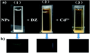 Graphical abstract: Dithizone-etched CdTe nanoparticles-based fluorescence sensor for the off–on detection of cadmium ion in aqueous media