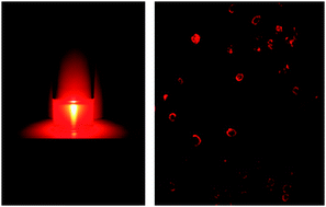 Graphical abstract: Bright, near infrared emitting PLGA–PEG dye-doped CN-PPV nanoparticles for imaging applications