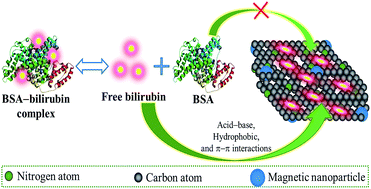 Graphical abstract: Facile one-pot synthesis of magnetic nitrogen-doped porous carbon for high-performance bilirubin removal from BSA-rich solution