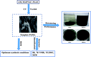Graphical abstract: Optimized preparation of micro-block CPAM by response surface methodology and evaluation of dewatering performance