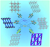 Graphical abstract: A series of coordination polymers based on terphenyl tetracarboxylates and bis-pyridyl ligands with water vapor sorption properties