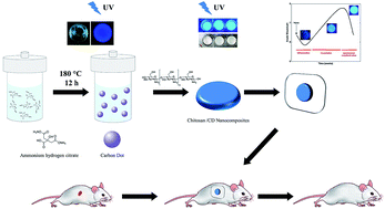 Graphical abstract: Wound dressing application of pH-sensitive carbon dots/chitosan hydrogel
