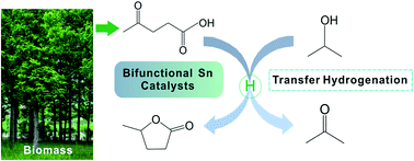 Graphical abstract: Catalytic transfer hydrogenation of levulinic acid to γ-valerolactone over a bifunctional tin catalyst
