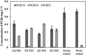 Graphical abstract: Effect of humins from different sediments on microbial degradation of 2,2′,4,4′,5,5′-hexachlorobiphenyl (PCB153), and their polyphasic characterization