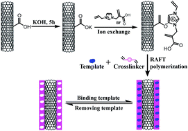 Graphical abstract: Preparation of hydrophilic surface-imprinted ionic liquid polymer on multi-walled carbon nanotubes for the sensitive electrochemical determination of imidacloprid