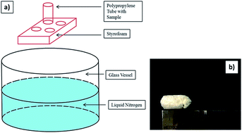 Graphical abstract: An environmentally benign approach to achieving vectorial alignment and high microporosity in bacterial cellulose/chitosan scaffolds