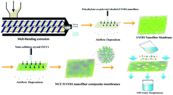 Graphical abstract: Hydrophilic nanofibrous composite membrane prepared by melt-blending extrusion for effective separation of oil/water emulsion