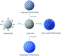 Graphical abstract: Highly sensitive and reliable SERS probes based on nanogap control of a Au–Ag alloy on silica nanoparticles