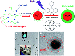 Graphical abstract: Facile synthesis of size-tunable superparamagnetic/polymeric core/shell nanoparticles by metal-free atom transfer radical polymerization at ambient temperature