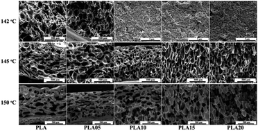 Graphical abstract: Introduction of a long-chain branching structure by ultraviolet-induced reactive extrusion to improve cell morphology and processing properties of polylactide foam