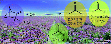 Graphical abstract: OH- and O3-initiated atmospheric degradation of camphene: temperature dependent rate coefficients, product yields and mechanisms
