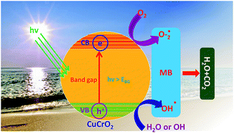 Graphical abstract: Dielectric, optical and enhanced photocatalytic properties of CuCrO2 nanoparticles